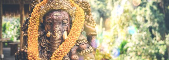 India Japan feastival