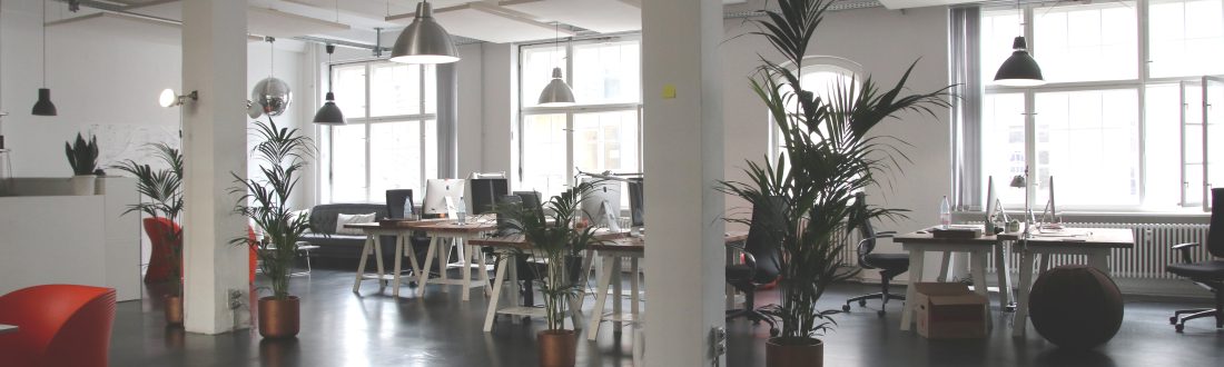 プライバシー画像