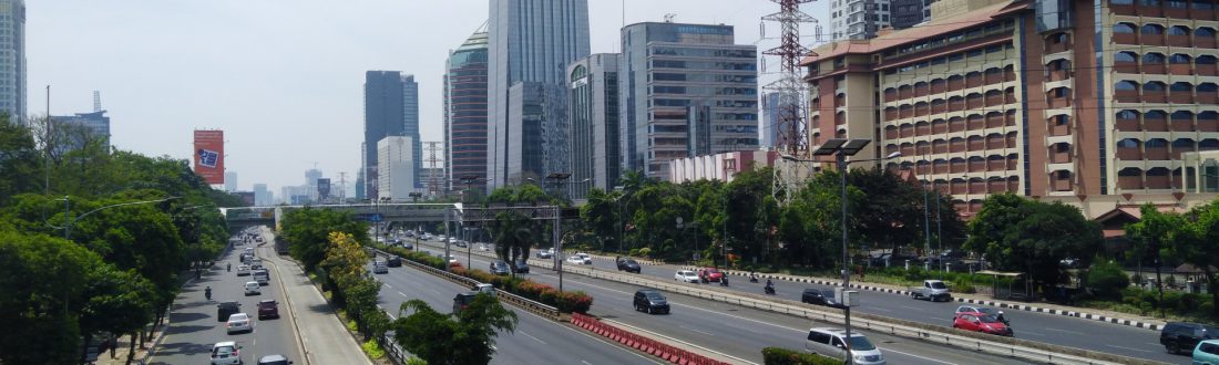 タマリン用画像