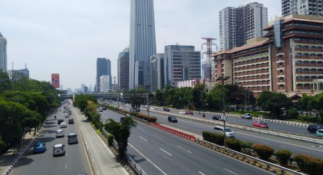 タマリン用画像